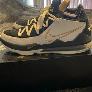Lebron 17 low.   size 13